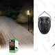 Touch Of ECO TIKIGLOW - Solar Tiki Torch Light | $25 | DailySteals | Use promo code KJTIKI